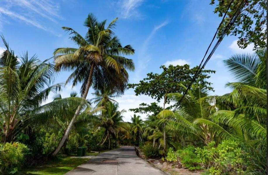Happy Stay Villa Grand Anse  Eksteriør billede